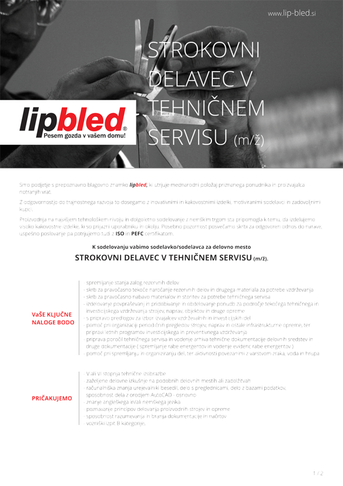 STROKOVNI DELAVEC V TEHNIČNEM SERVISU